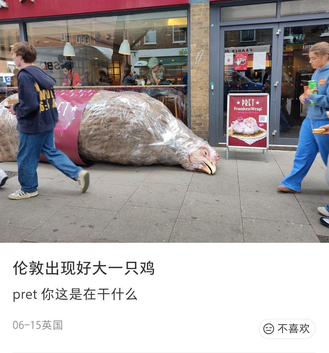 我不行了张莲名声漂洋过海 