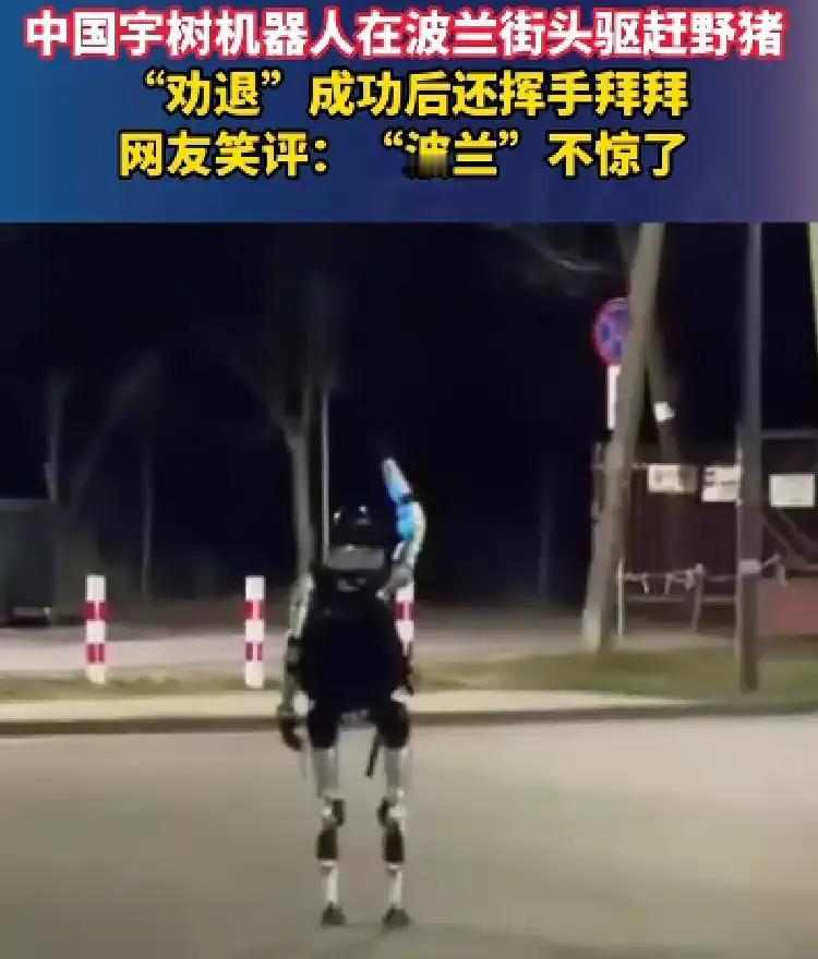 中国机器人竟然现身波兰街头驱赶野猪，震惊了，这机器人就这么赤裸裸的就业了？
话说