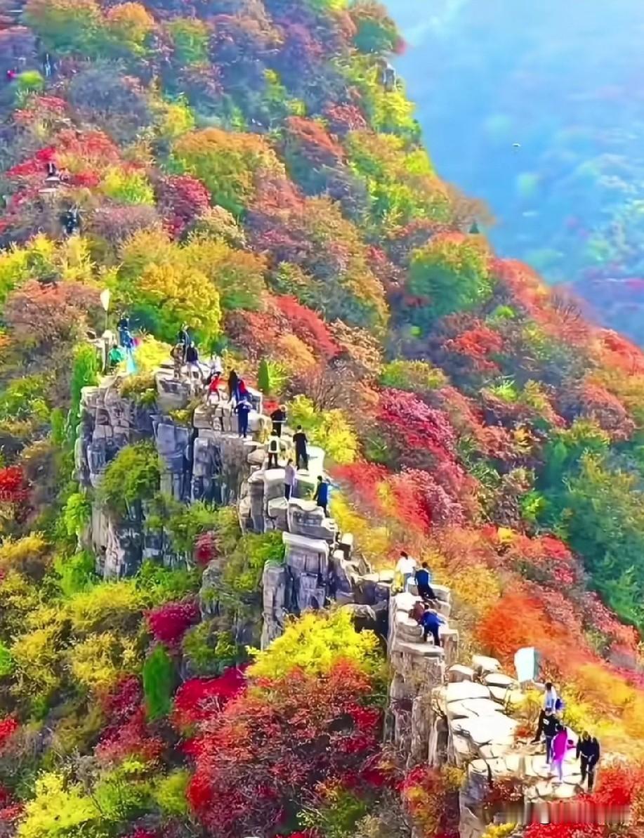 我以胃癌经历者，告诉朋友们如何让小胃病不会发展为胃癌…
        如果一开