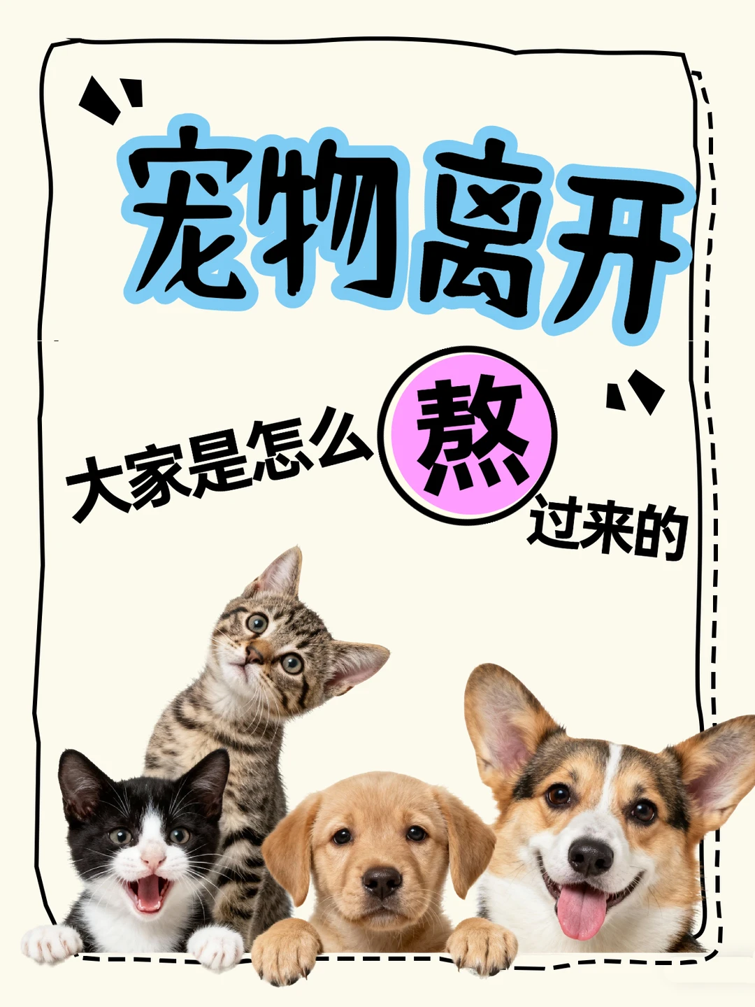 宠物离开｜大家都是怎么熬过来的呢？