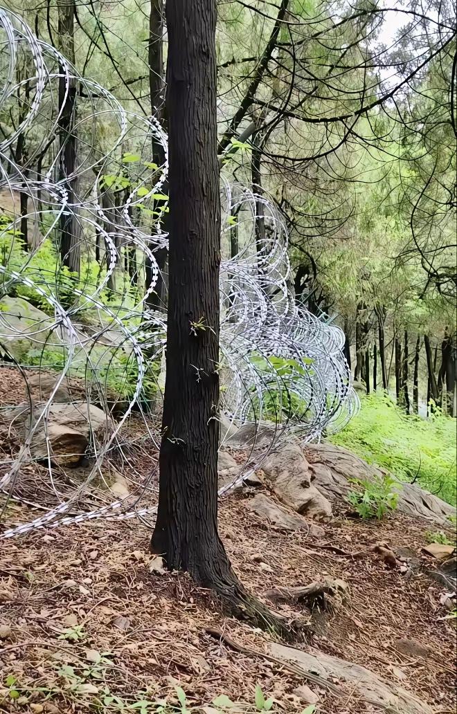 “”山东好客，好客山东”，多么好的广告语，但是最近山东泰山景区135公里刀片刺绳