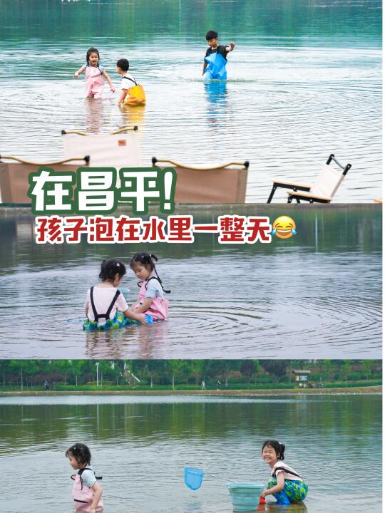 小友自然大会｜在昌平❗️还有这样的露营地