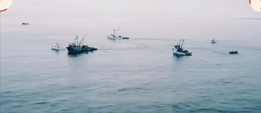 突发！日本搬出“铁证”挑衅，还强闯钓鱼岛？中方三线强硬反制

钓鱼岛是中国固有领