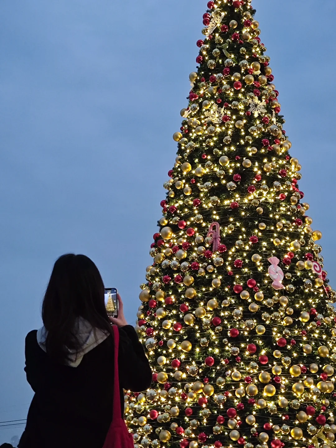 人少还出片的圣诞树🎄附路线攻略‼️