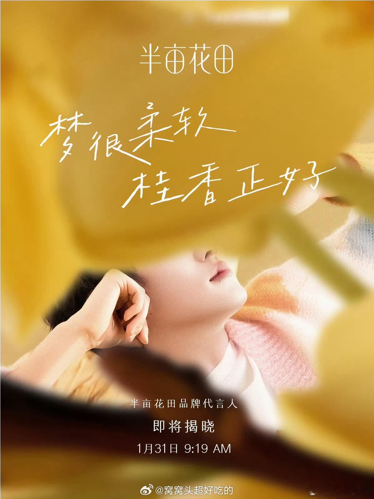 田栩宁 半亩花田品牌代言人预热！好牛，有竞品还给了全线诶