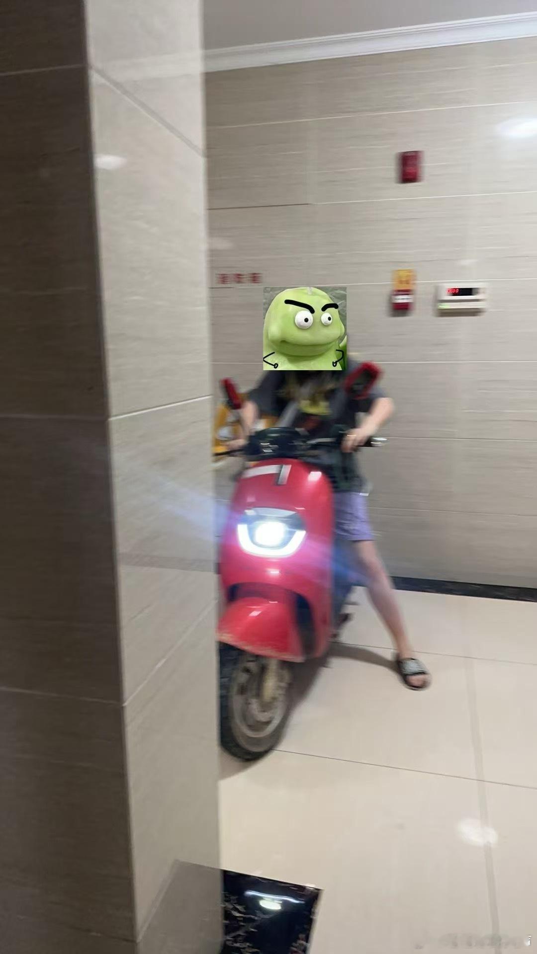 被骑个电驴去拿猫的样子笑到了 ​​​