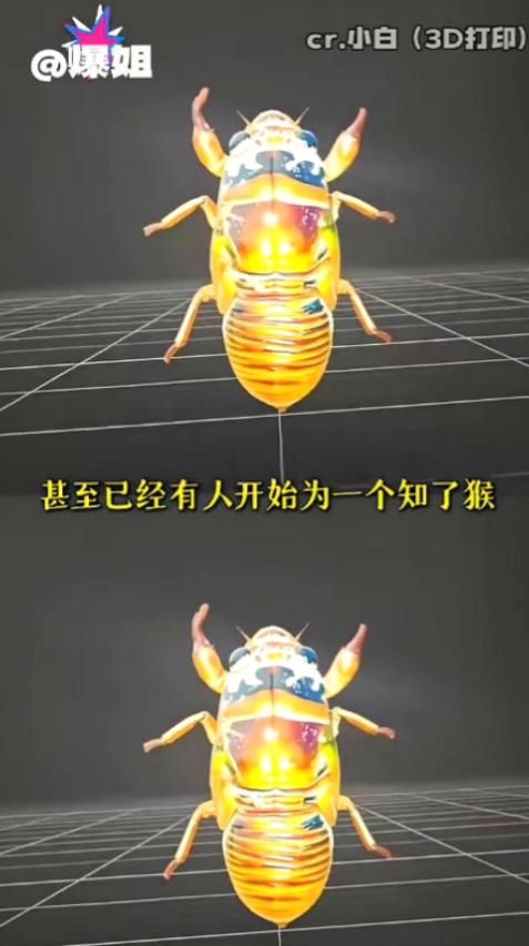 山东专逮知了猴的人，近期怕是要心态崩了，百般盘算，压根没料到会遇上满是科技套路的