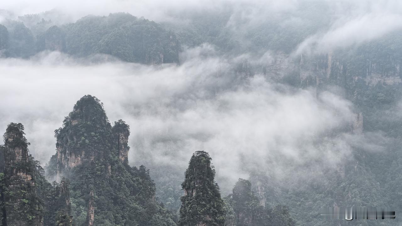 【十楼杂记】雨声中读到苏东坡的《吴江岸》：
晓色兼秋色，蝉声杂鸟声。
壮怀销铄尽