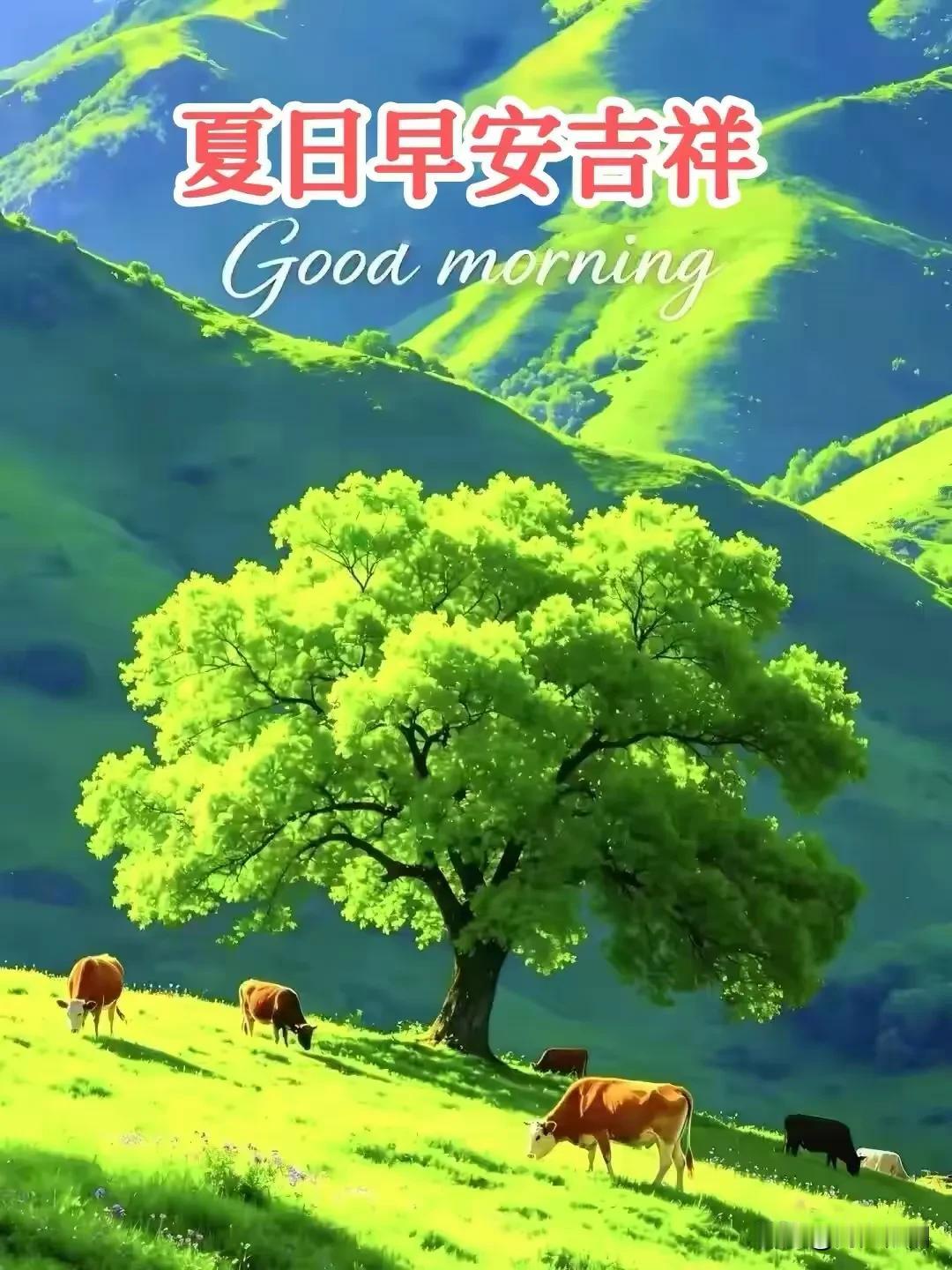 五律《悟世抒怀》

世事如行路，
行来每悟殊。
善良安岁月，
欢乐胜金珠。
包容