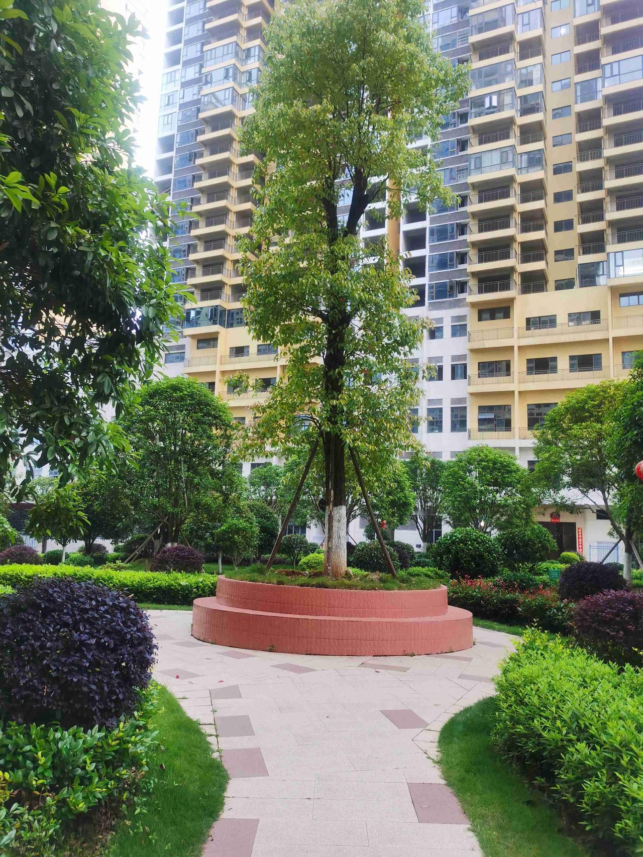 我的今日状态：😁轻松愉快
我这里的天气：☀️晴天

我们都在用力活着，却慢慢弄