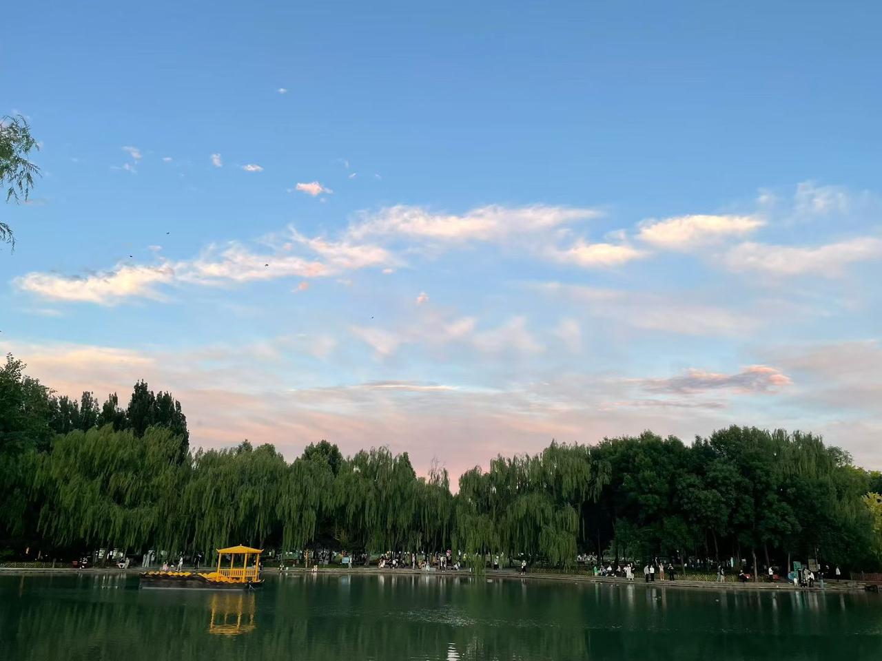 真心话茶局征文已过，不互。