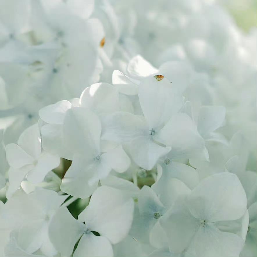 沟通是一回事，但沟通时的语气才是最重要的。——枕遥​​​