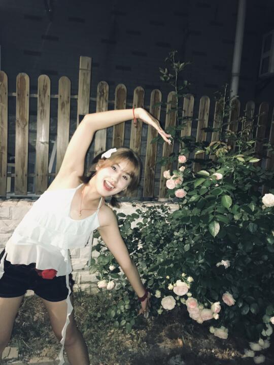 因为一朵花找到了一个女孩
