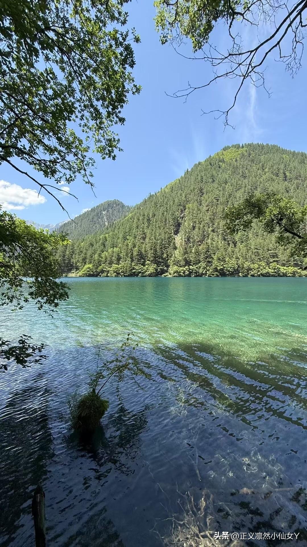 👏👏暑假生活正式开始了……旅游成为了每年暑假的必行之旅。
第一站：九寨沟
 