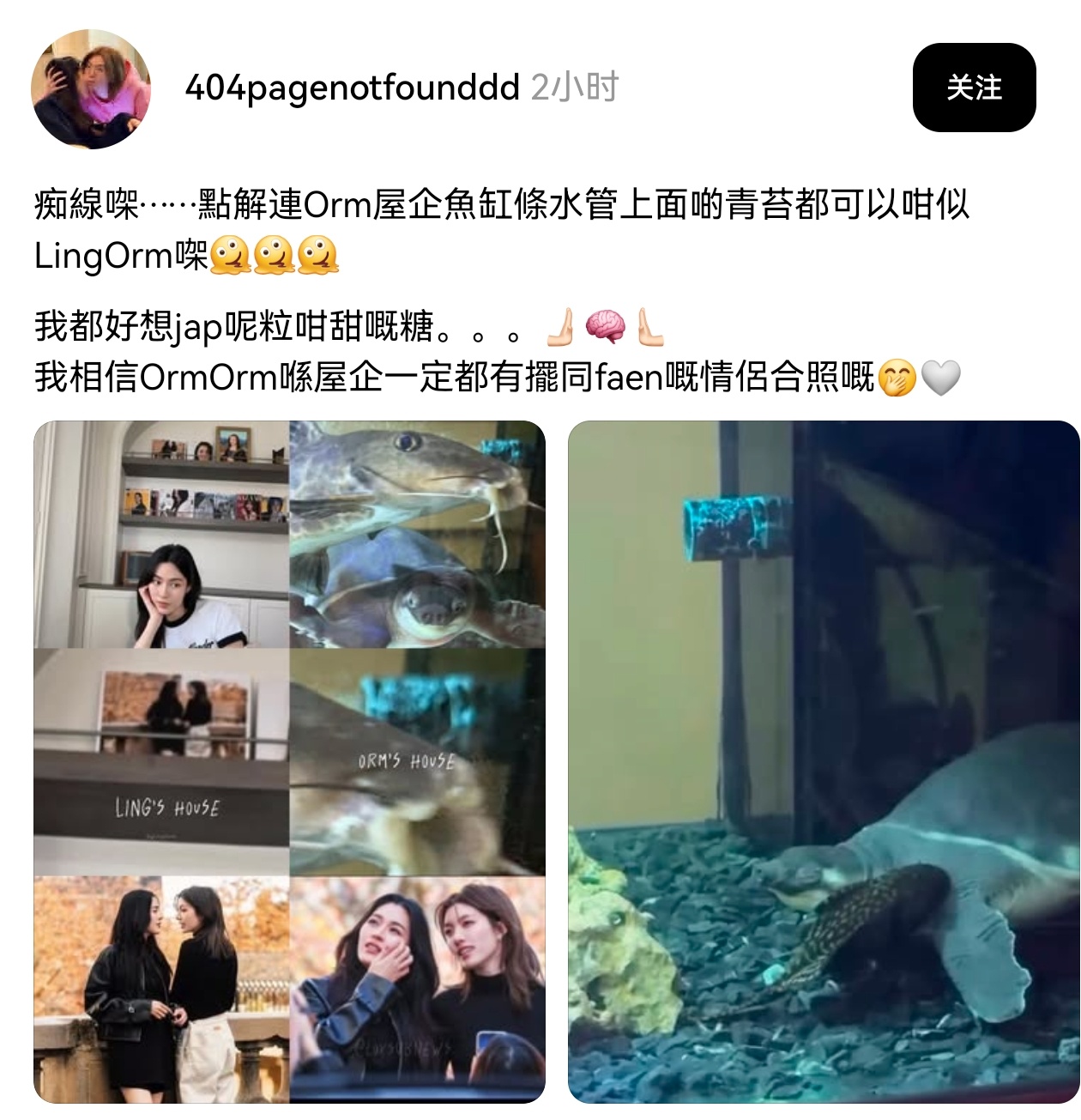 笑的难受   你别说这个水管还真挺像😂😂 