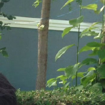每日一善[超话][心]阳光信用 每日一善 [心]善不可不弘，恶不可不去。善心人人