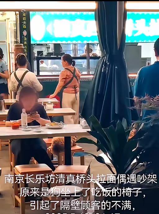 狗子又坐餐椅上了2026.5.12 21:47路过营业种的南京长乐坊一楼桥头拉面