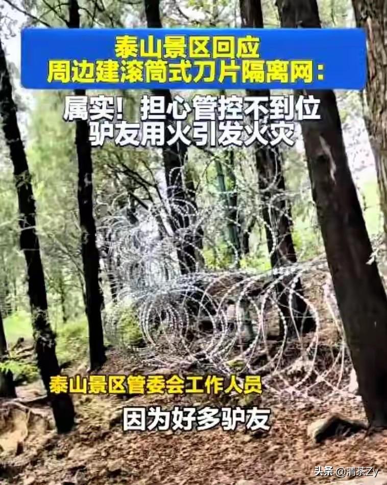 拆除也是一个大工程这个费用谁来承担！泰山那圈总长约135公里的刀片刺绳隔离网，已
