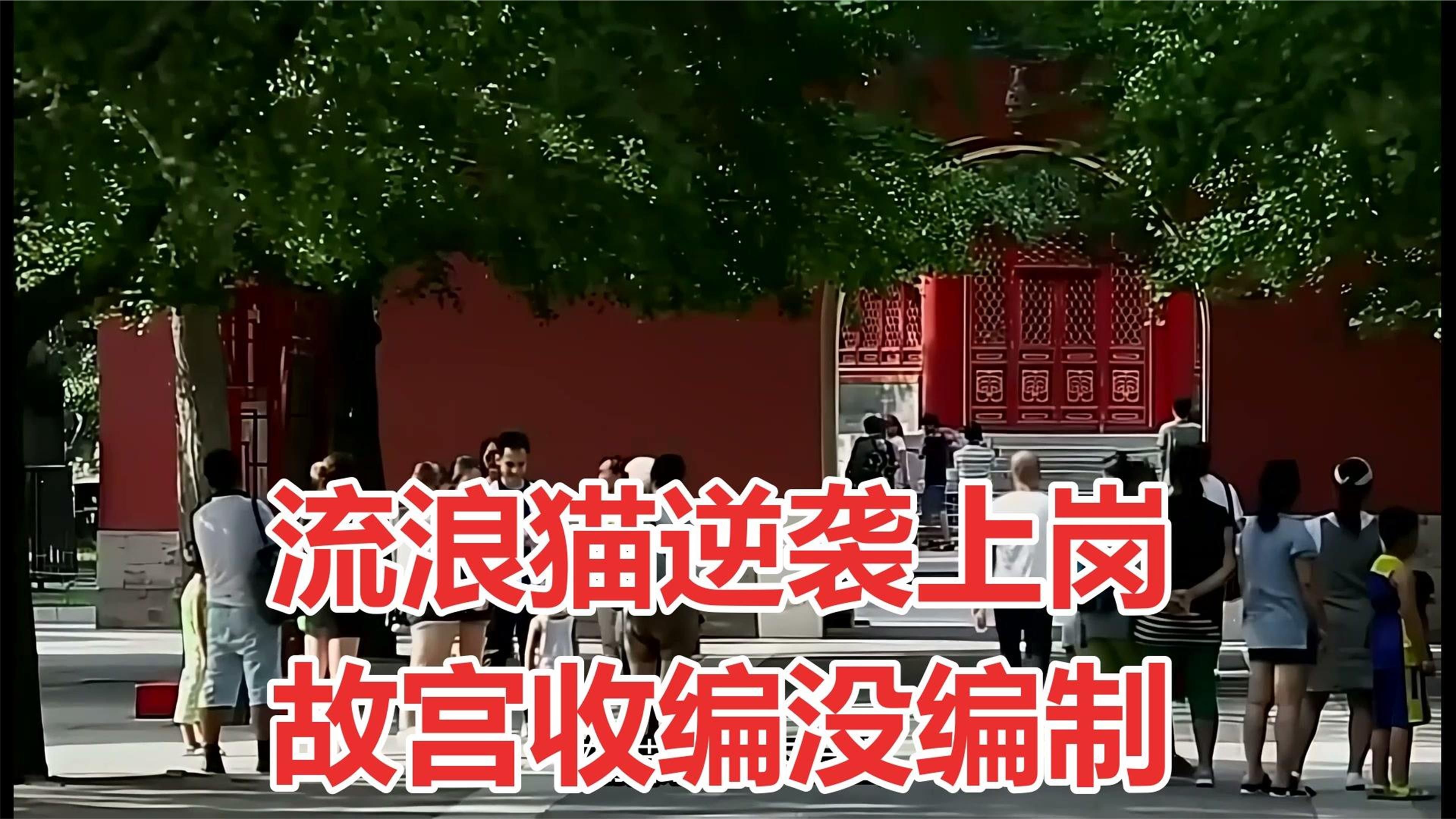 天安门站岗小橘猫被故宫收编，网友却说没编制？
