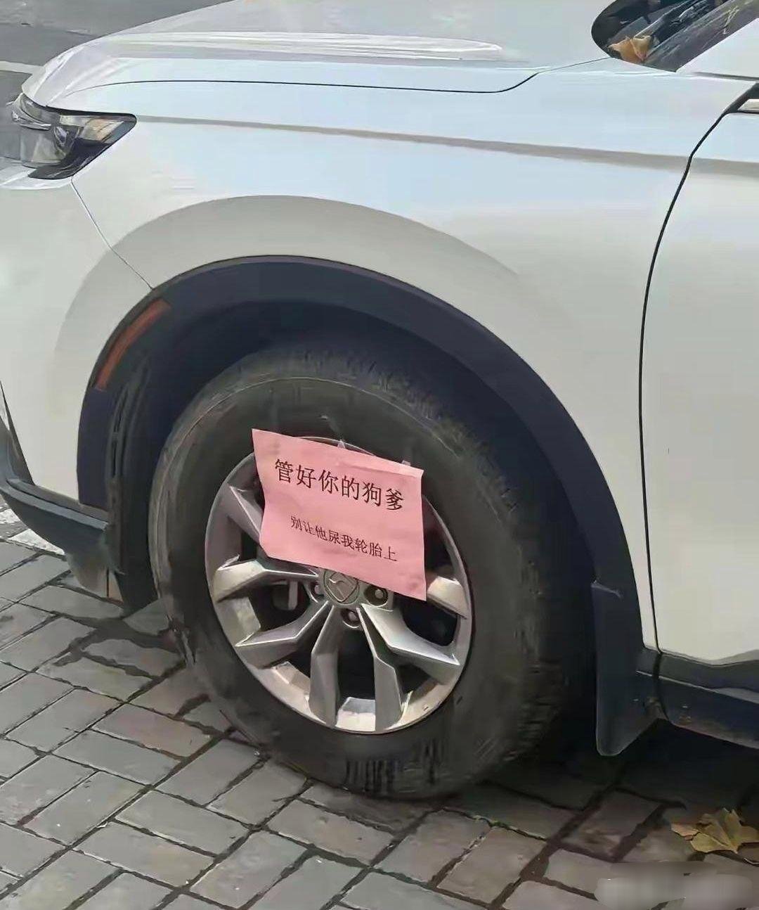 多大一点事嘛，这也骂别人不好吧 