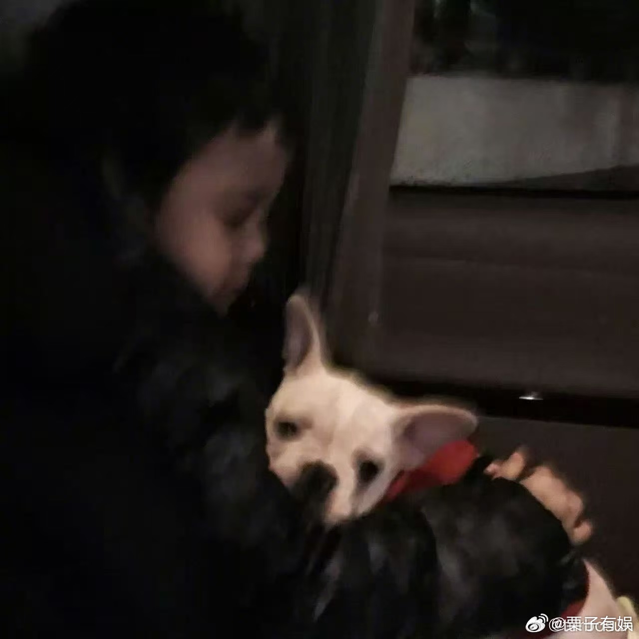 孙俪2026年2月6日奶牛离开了孙俪奶牛去世一个月了孙俪2026年2月6日奶牛离