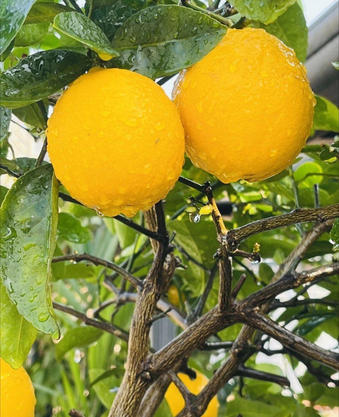 磨你的人，助你成长；暖你的人，给你力量；留下的人，给你陪伴；离开的人，留下回忆让