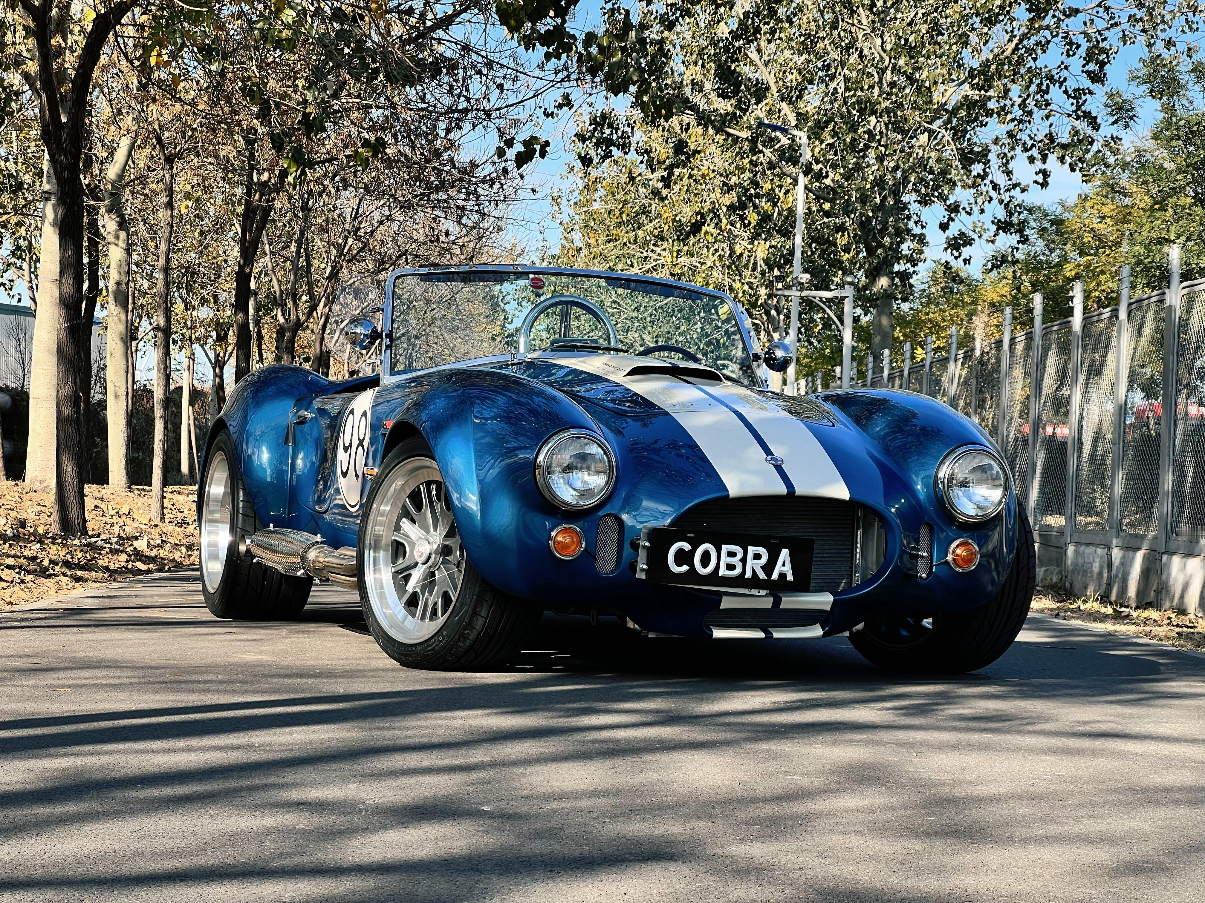 蛇年最后一台车，清关完成Shelby Cobra复刻孤傲的，限少数人的，不可一世