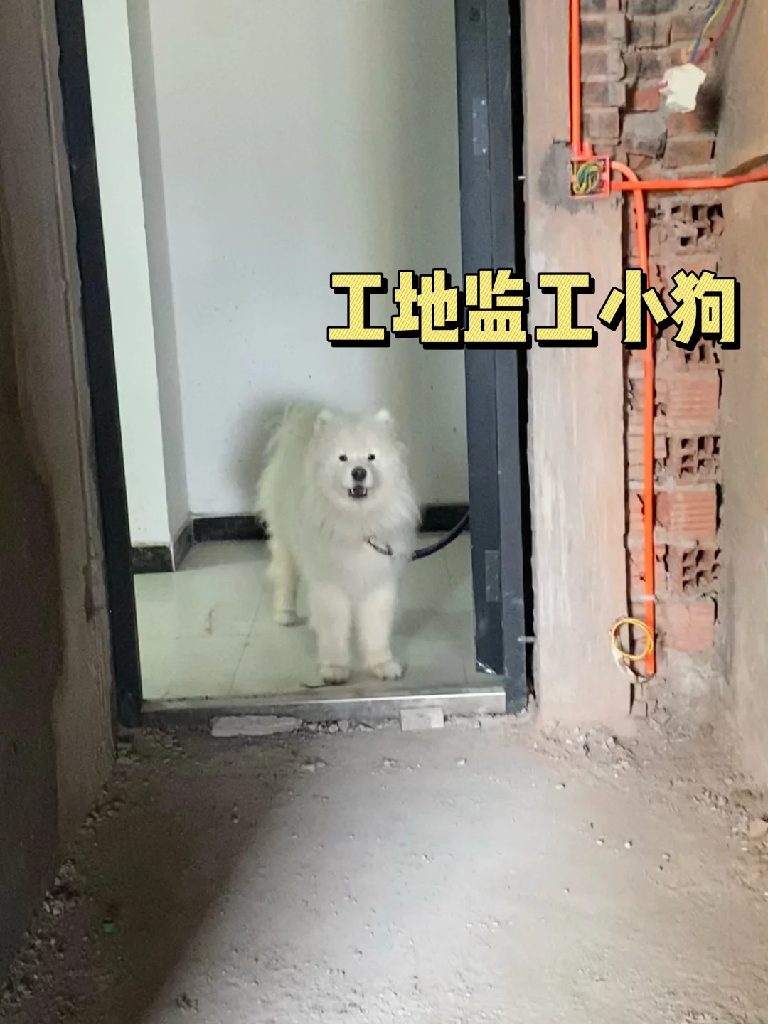 原来免洗清洁泡沫不是智商税啊！！！