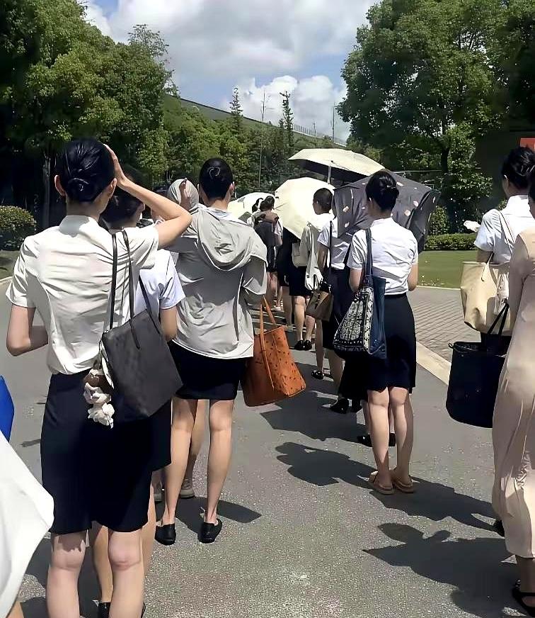 午后的热浪像被扣在城市上空，人群还在往航司面试点汇拢。
着装得体的姑娘们，夹着简