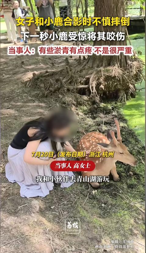 “太悲伤了！”7月20日报道，浙江杭州，一女子去景区玩，发现一头小鹿趴在湖边休息
