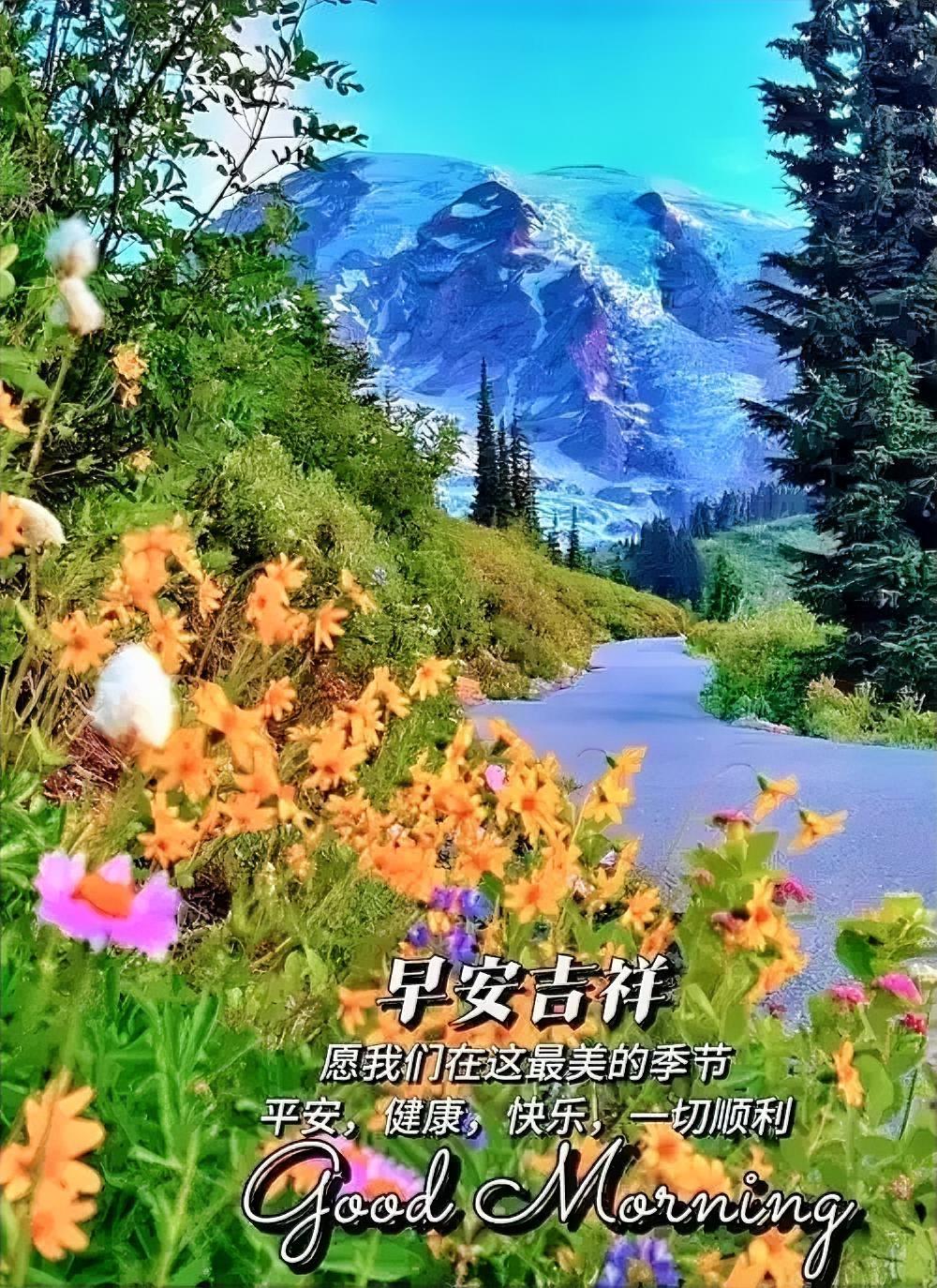 晨安祝福，愿君四季安康，顺遂无忧，快乐常伴。