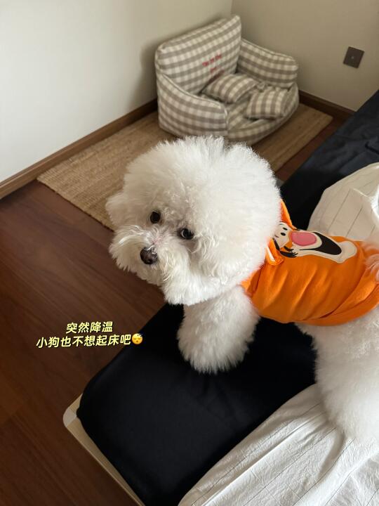 3月plog 🐶