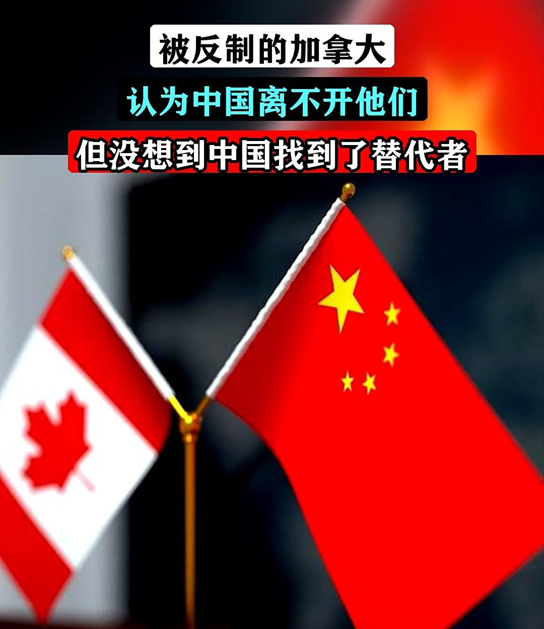 外媒：与加拿大陷入贸易争端，中国加大采购澳洲油菜籽

新加坡联合早报9月20日报