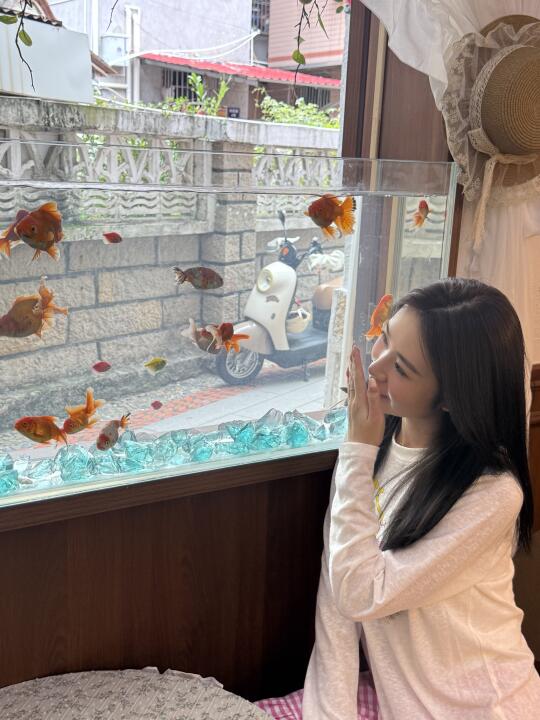 Live直出📷在集美也有金鱼缸了