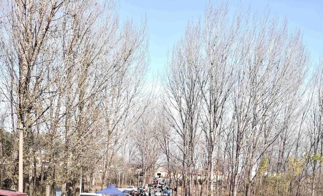 我的今日状态：😁轻松愉快
我这里的天气：☀️晴天