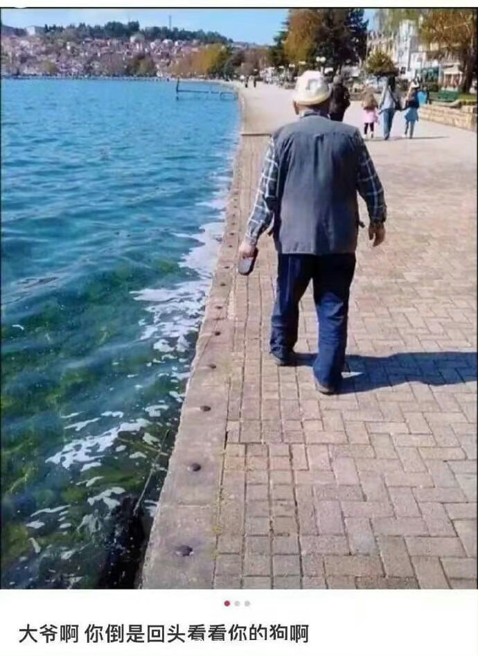 网友在网上都看些什么 ​​​