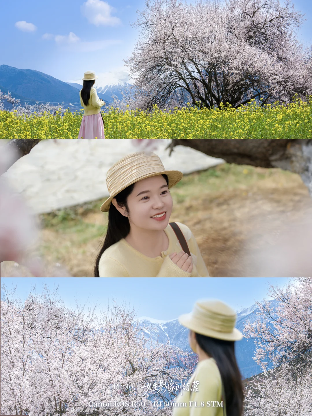 备忘录躺了两年，我终于去西藏看桃花了