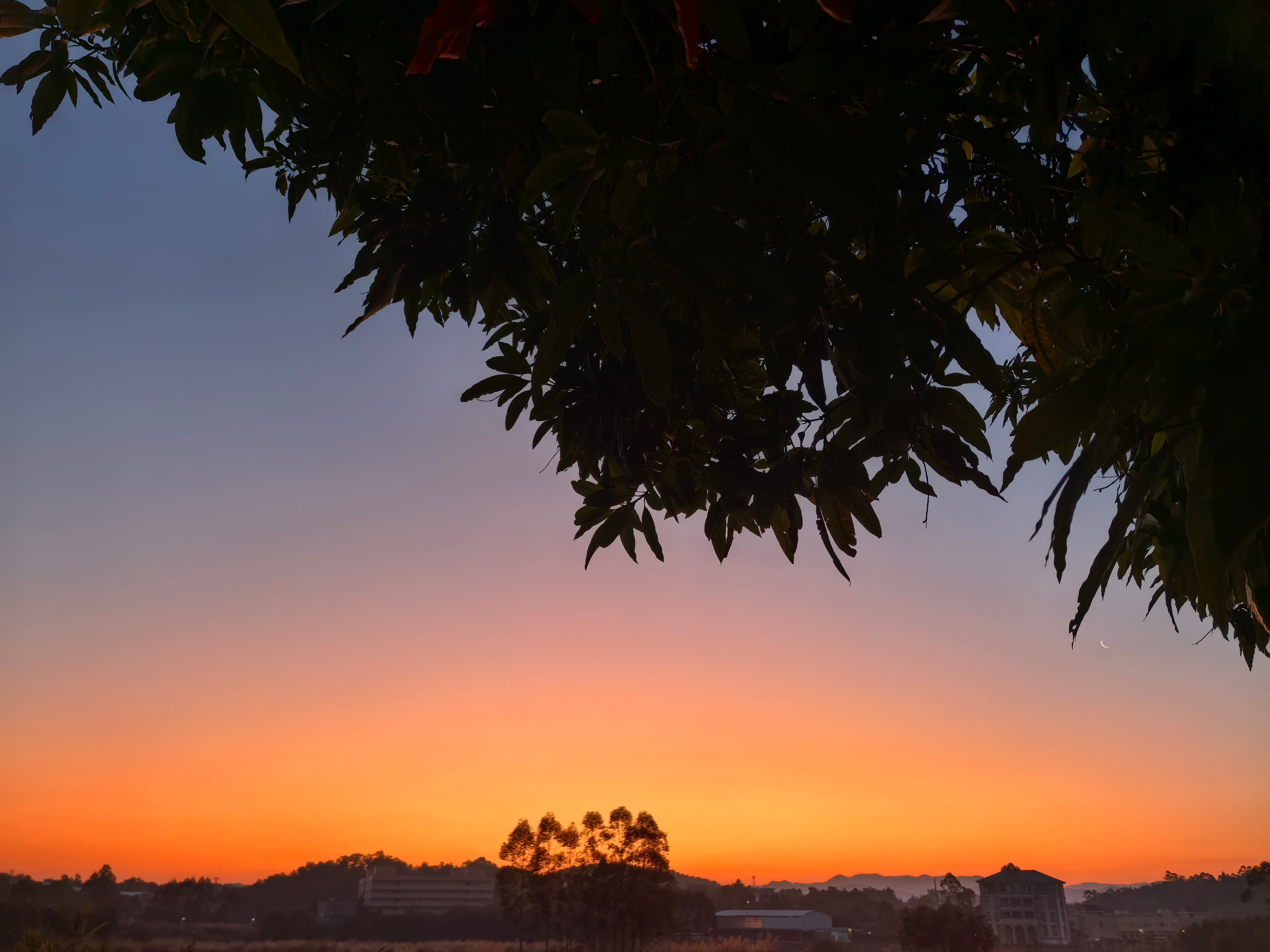 早☀起来上厕所，顺便拍个日出🌅