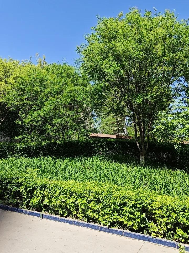 小区内随手拍！