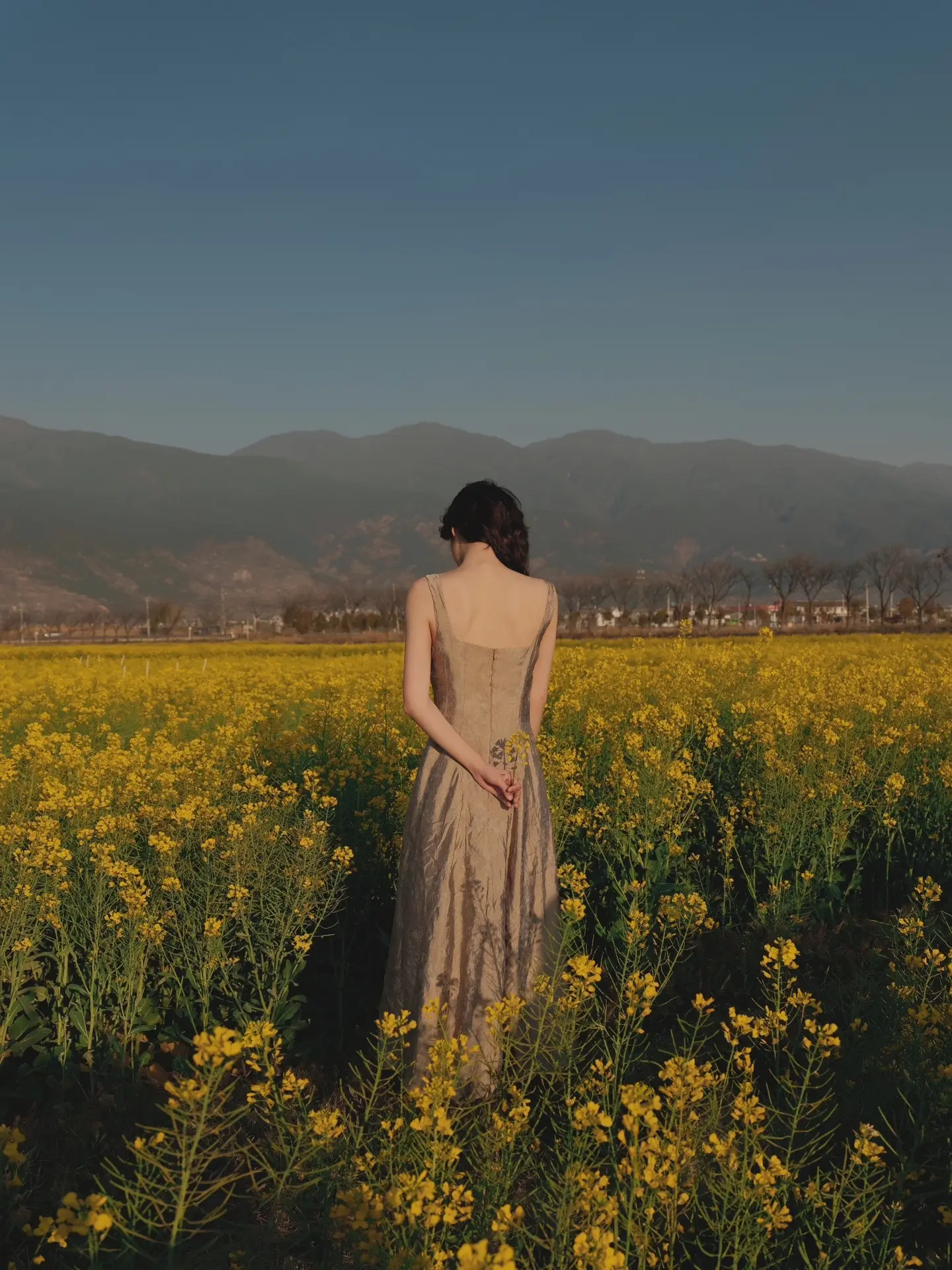 油菜花富士相机原图直出也太美了吧。  