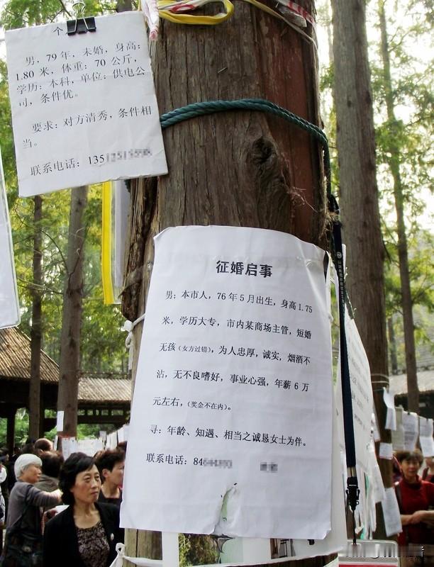 婚恋中介本应是搭建缘分的桥梁，却在某些人手中沦为敛财的工具。他们以缅甸新娘为诱饵