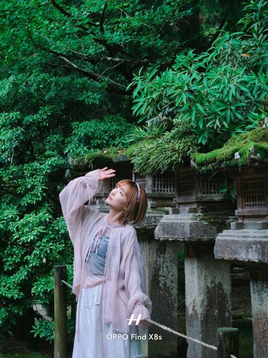 Live🍃 6月、关西、初夏，我爱上五彩斑斓的绿