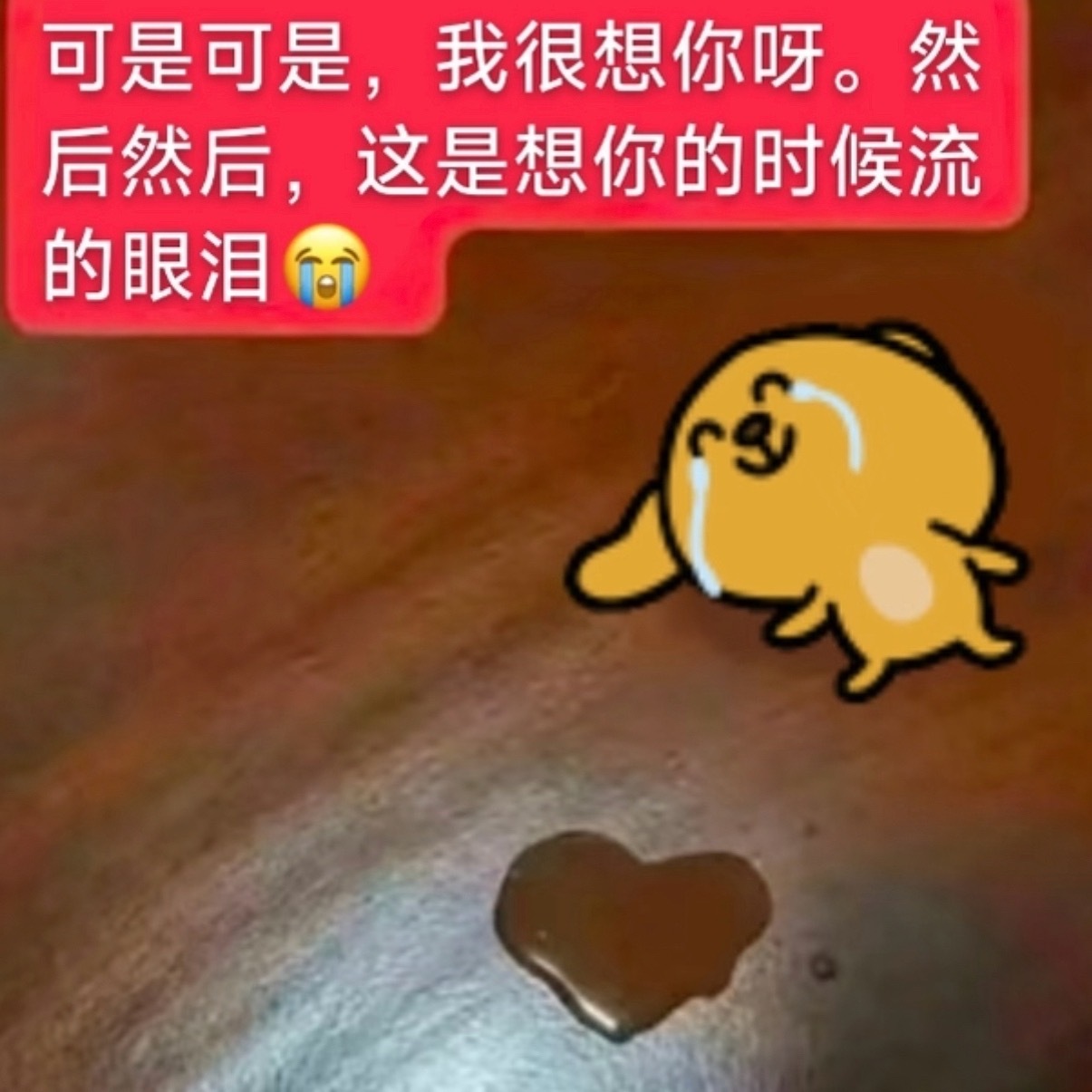 唉好想我猪猪啊 不知道他最近有没有吃到什么好吃的东西 有没有睡好觉 有没有跟朋友