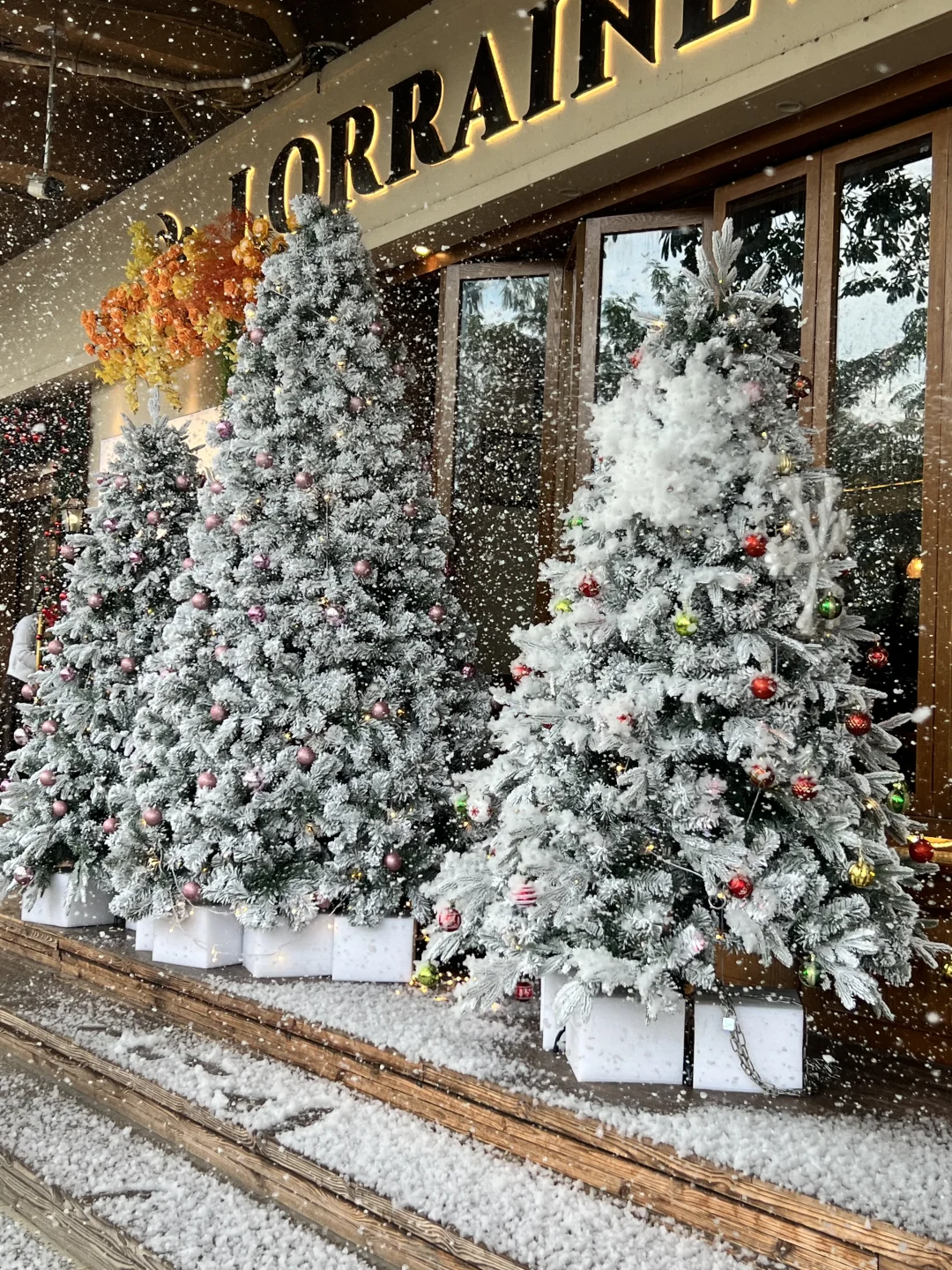 惠州下雪了❄️圣诞雪景地太有氛围了🎄