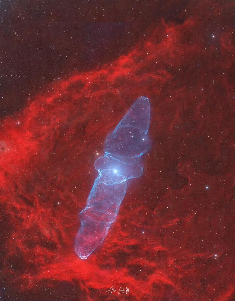 #每天一天文图# 巨乌贼星云 ​​​