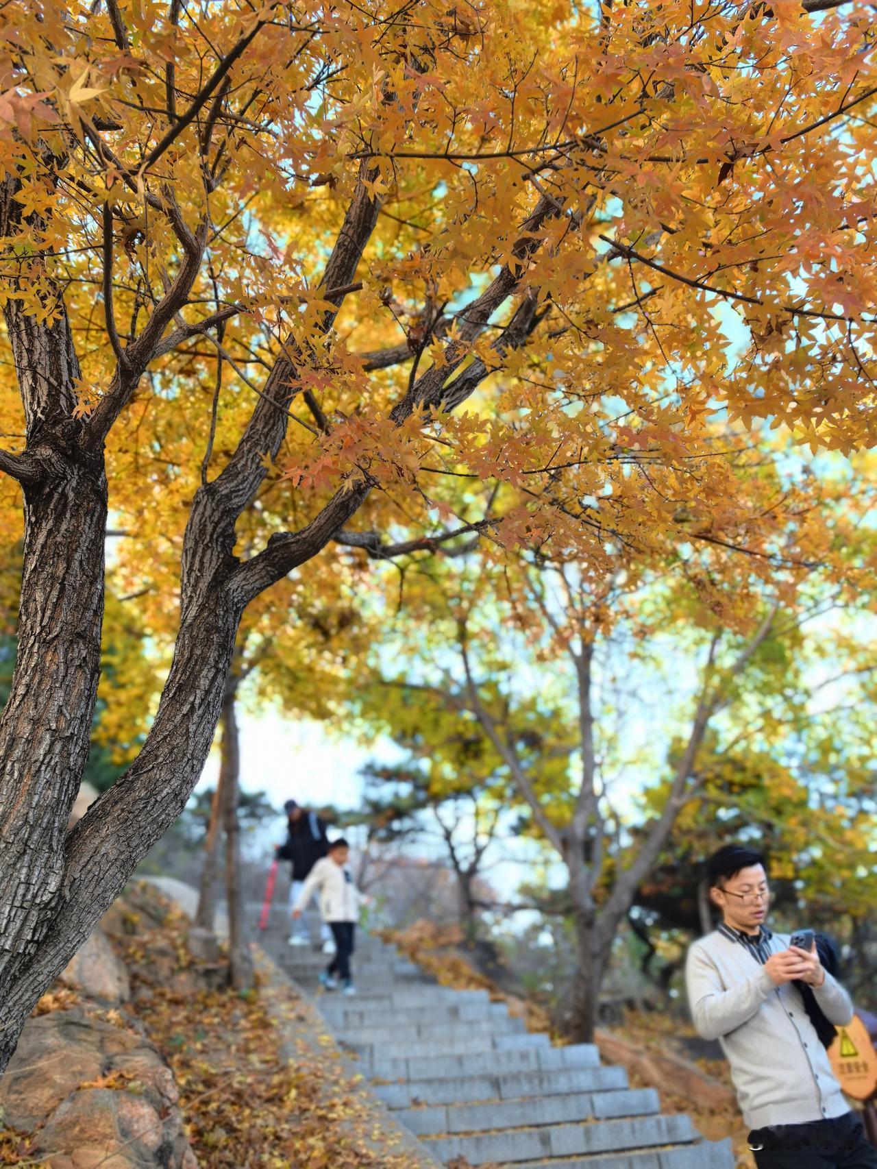 在一日之内体会山野与都市，传统与现代，本土与异域，……