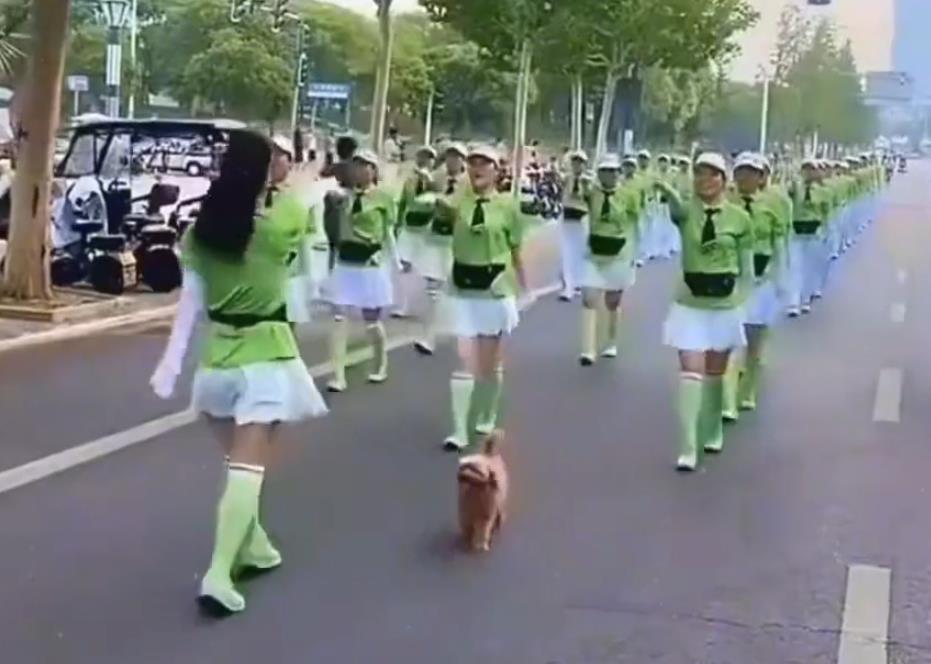 都上午九点了，这群人还在马路上占道锻炼身体。健康固然重要，难道不上班了吗？不上班