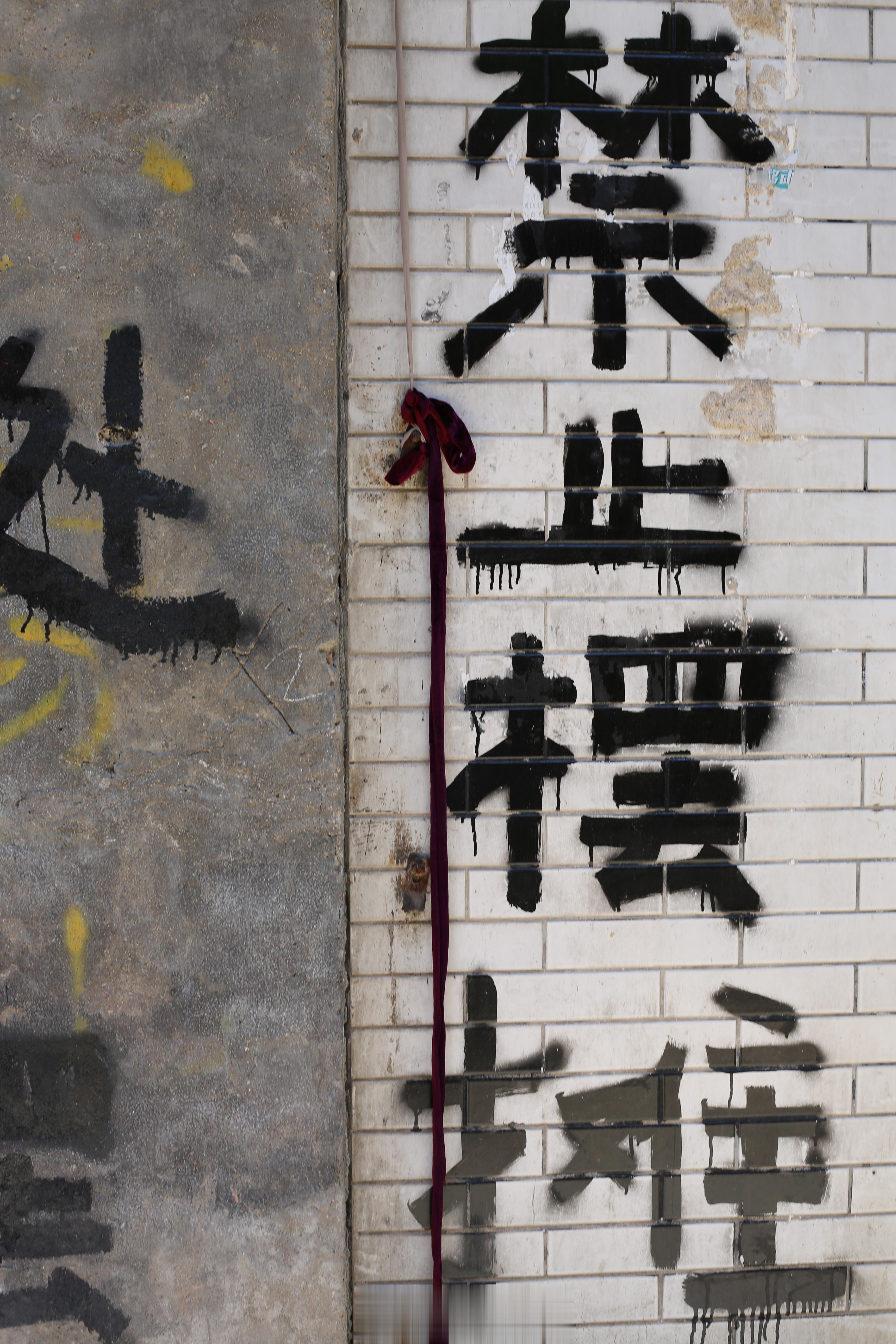 #中国人吃了全球91%的榴莲# 今年还没舍得吃过，谁把我的份额给占了[允悲] ​