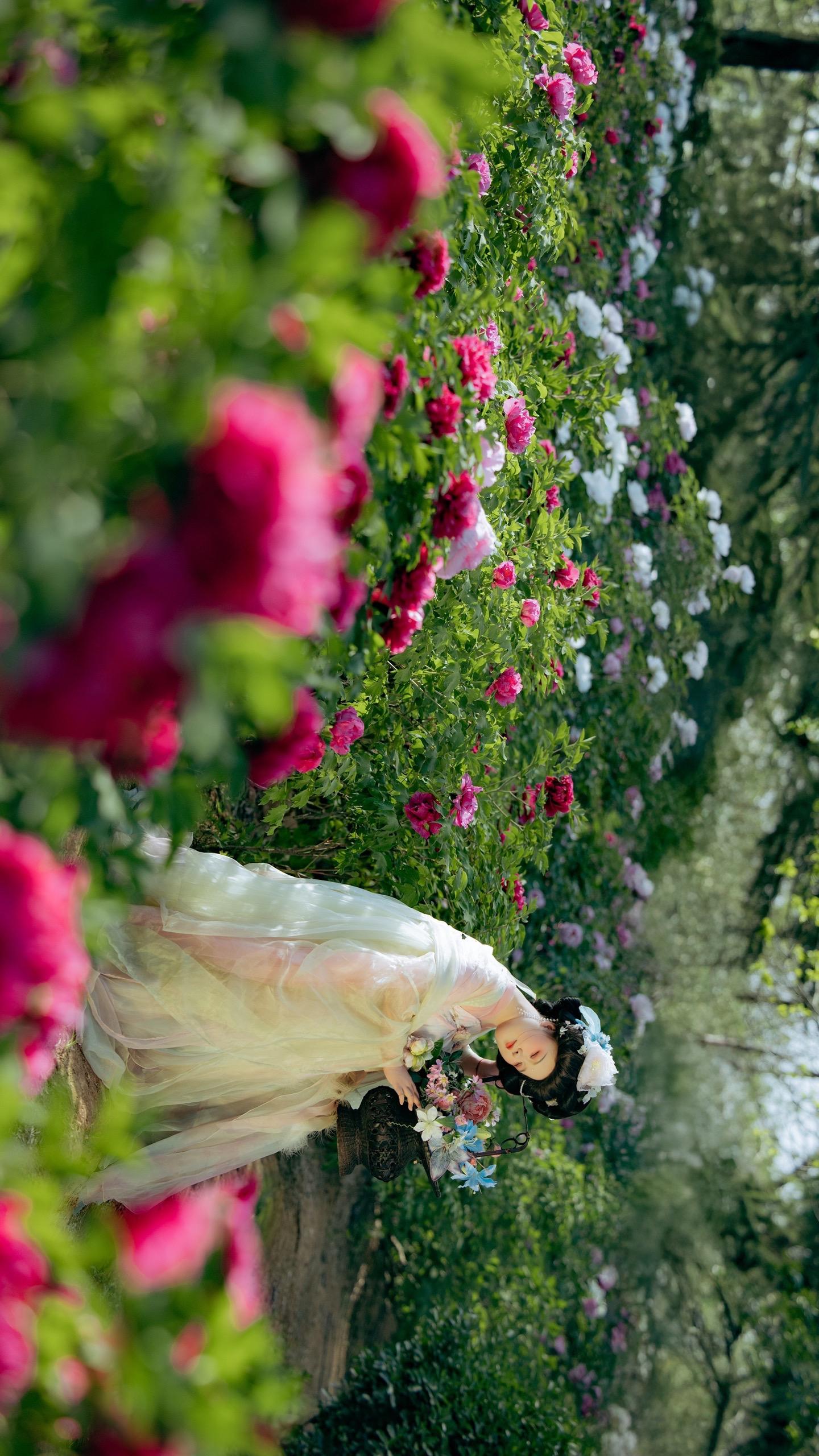 是牡丹花海啊。