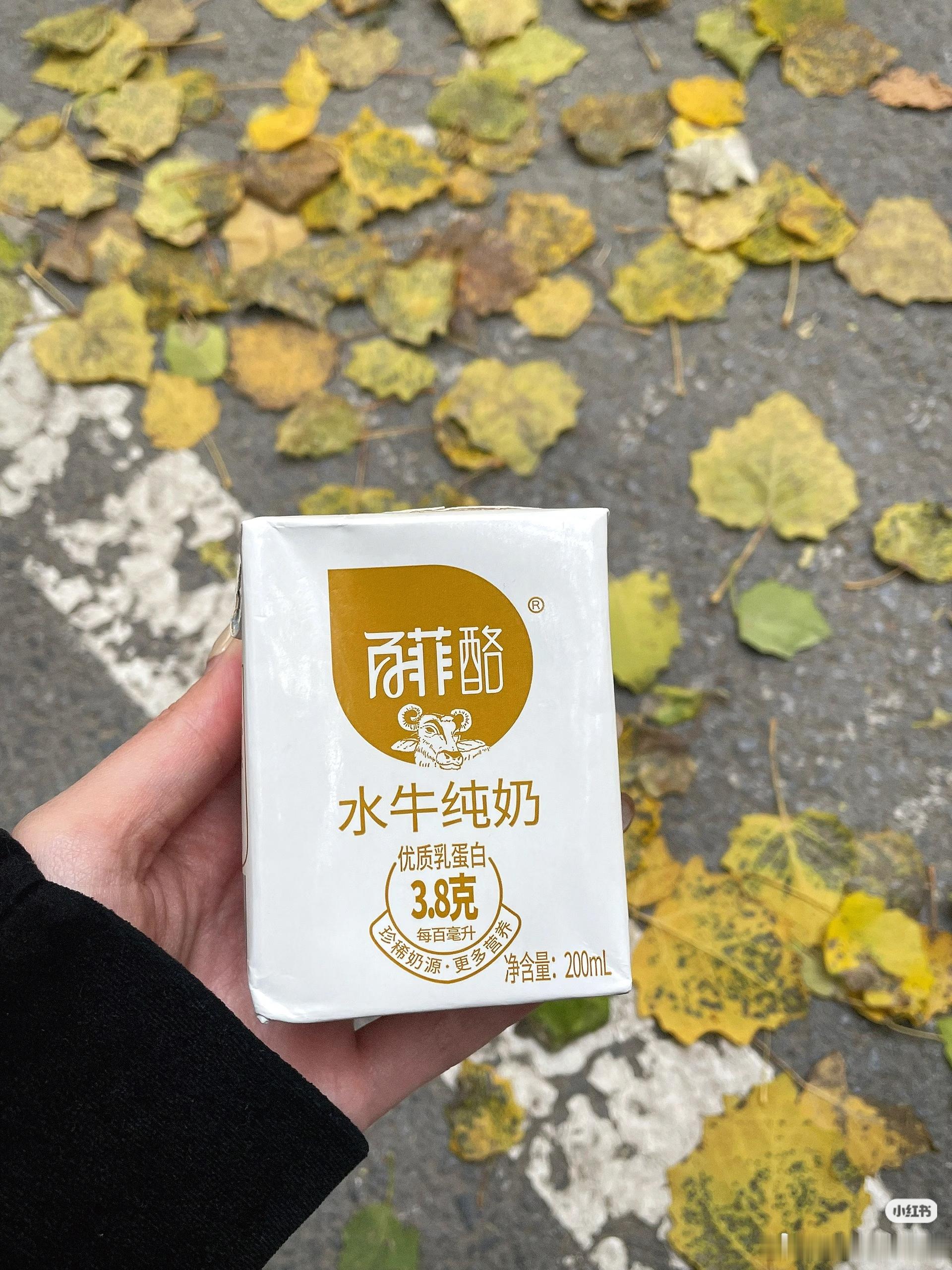 宿舍空间有限，想要储存方便的奶品，蹲到百菲乳业活动入手百菲酪。无需冷藏，收纳不占